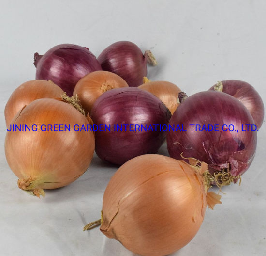 Http krmp.cc onion market 4523 page skiftm
