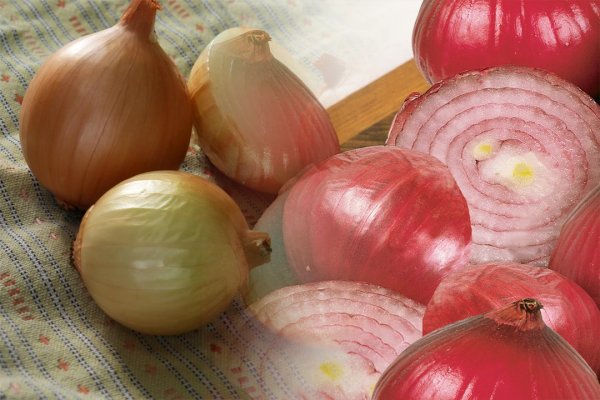 Прямая ссылка onion на рутор